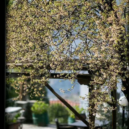 Traditional With Garden In Portaria,pelion Lejlighed