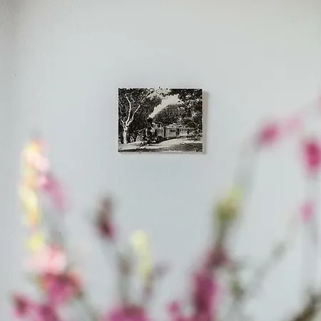 Lejlighed Traditional With Garden In Portaria,pelion Portariá