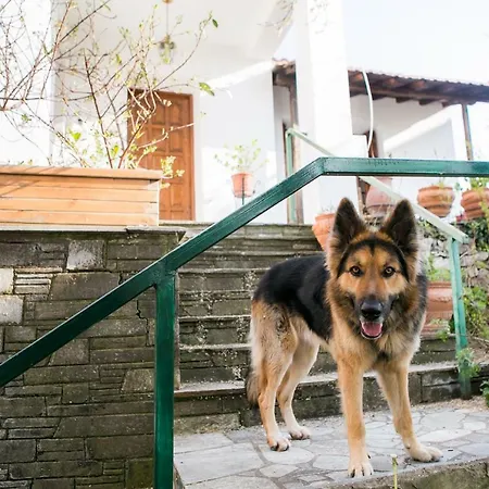 Traditional With Garden In Portaria,pelion