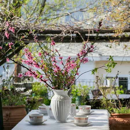 Lejlighed Traditional With Garden In Portaria,pelion